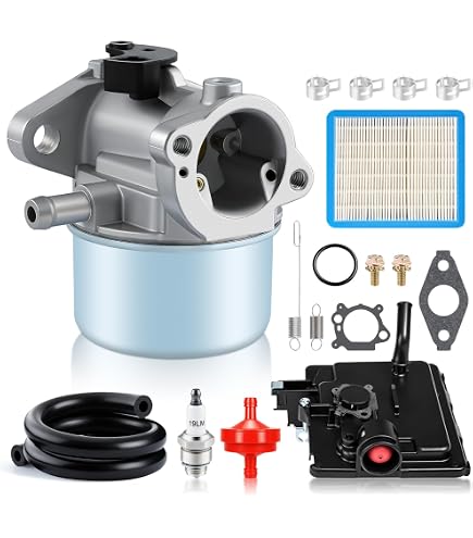 Amazon.com: Shnile Carburetor Replacement for Ruixing Model 216852